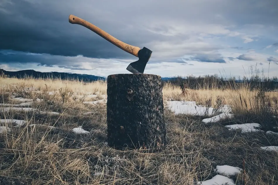 An axe ready to be used for pun inspiration