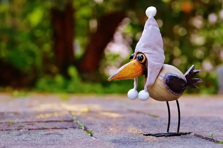 A funny bird in a hat