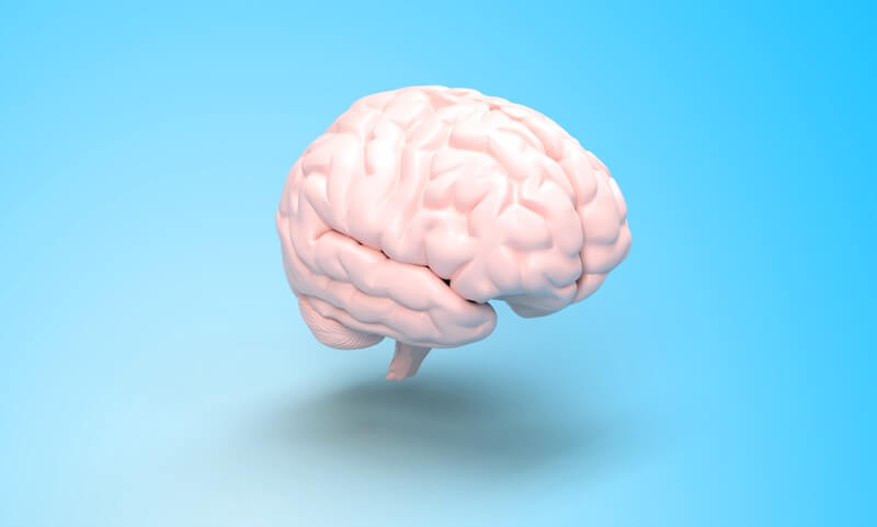 A brain thinking of brain puns and jokes