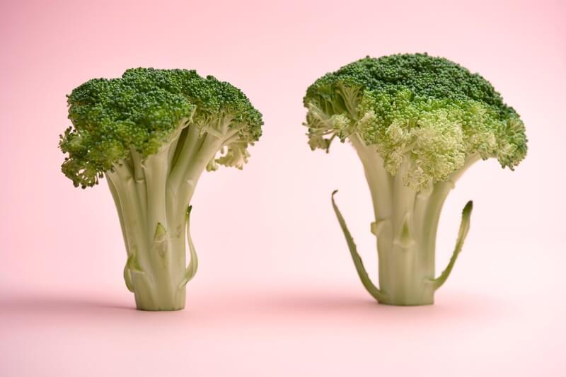 Two subjects of broccoli puns and jokes