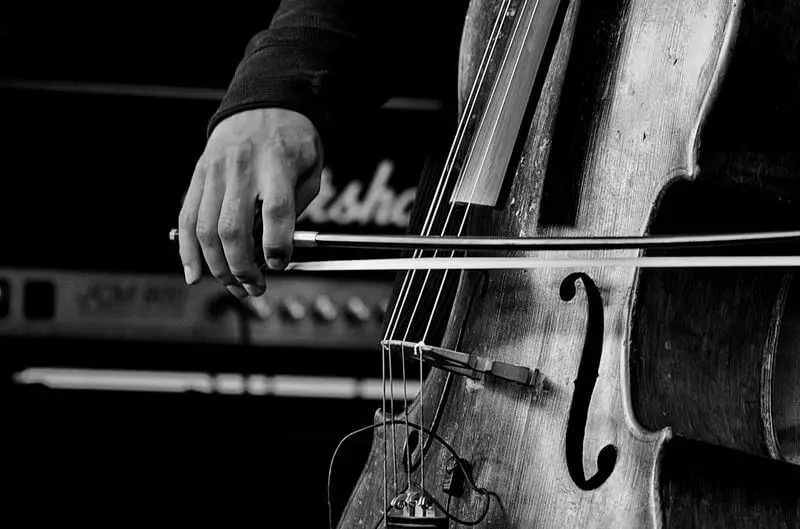 A cello that's the subject of jokes and puns