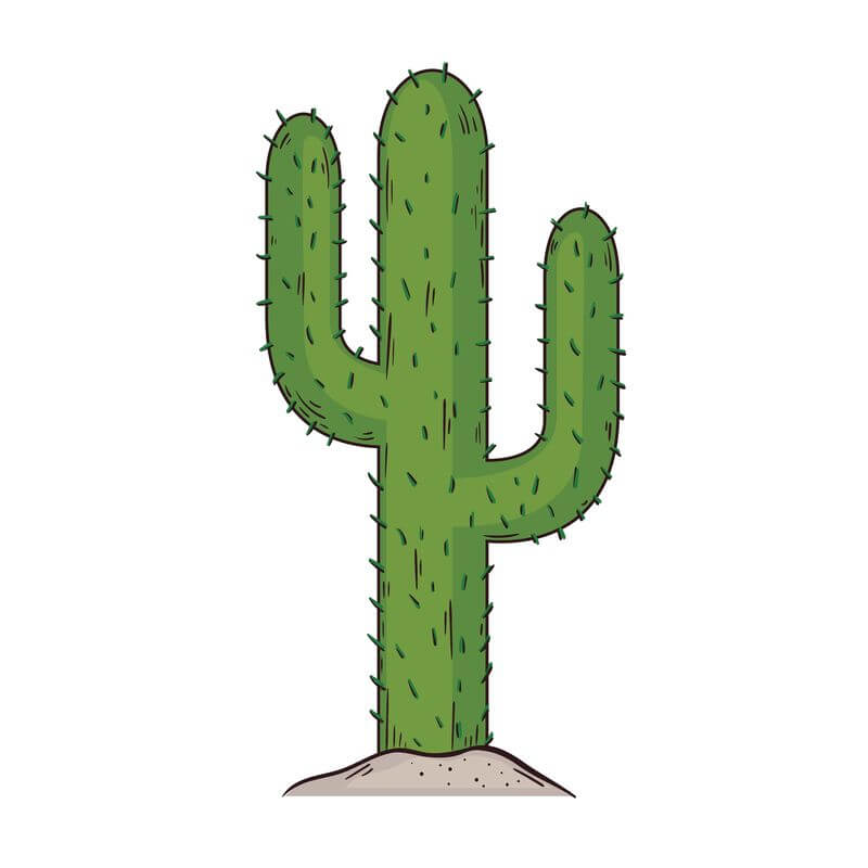 Drawing that makes you think of cactus puns and jokes