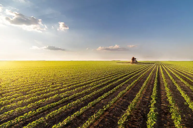 A large farm